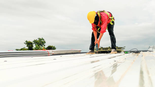 Best Roof Moss and Algae Removal  in Mineral Wells, TX